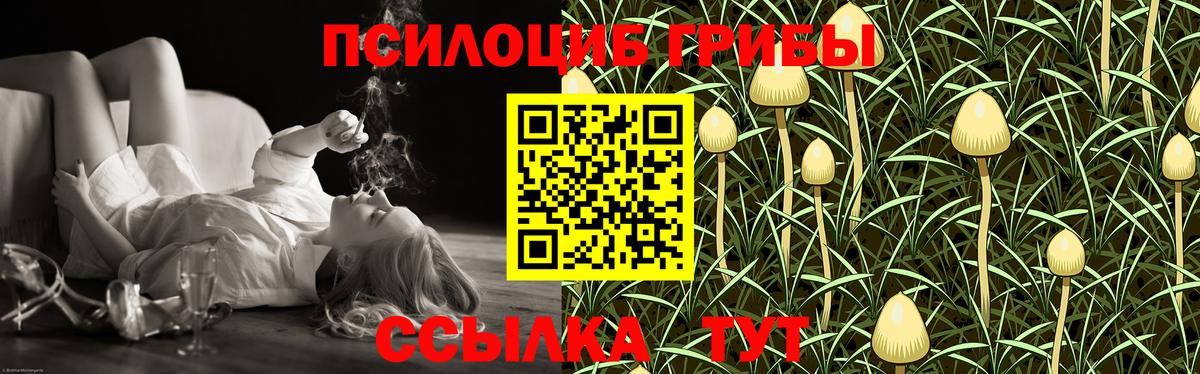 Ульяновск  Псилоцибиновые грибы прущие грибы  Галлюциногенные грибы мицелий  Вход с VPN 